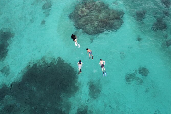 Half-Day Private Boat Experience – Appetizers & Drinks Included - Returning to Fajardo after a half day on the water