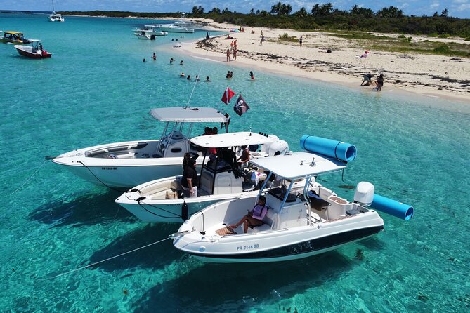Half-Day Private Boat Experience – Appetizers & Drinks Included - Ninety minutes of guided snorkeling after dark