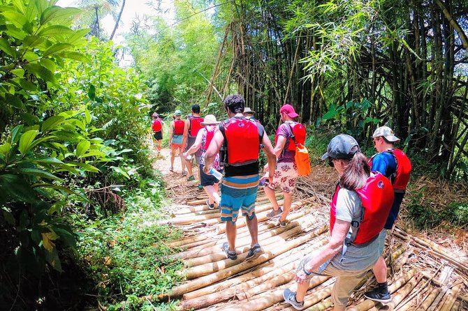 Half-Day: Rainforest and Waterslide Adventure with Transportation - Snacks, changing facilities, and the practical comforts