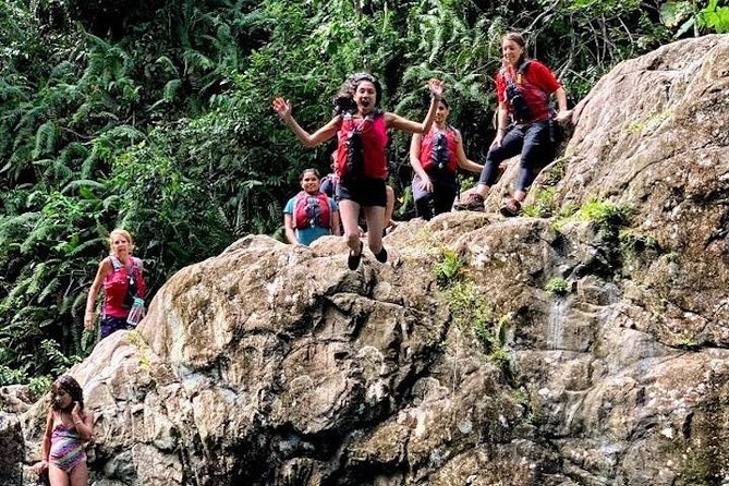 Half-Day: Rainforest and Waterslide Adventure with Transportation - Weather, cancellations, and planning your clothes