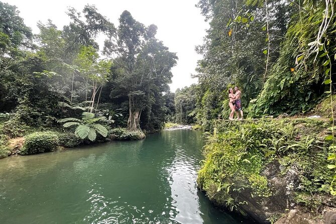 Half-Day Rainforest Tour with Transport from San Juan - Why This Half-Day Format Works
