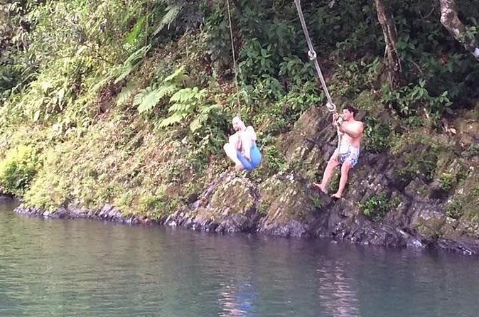 Half-Day Rainforest Tour with Transport from San Juan - The Forest Walk: Plants, Animals, and Island Geography