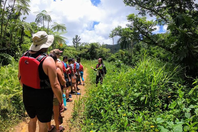 Half-Day Tour: El Yunque Rainforest and Waterslide Adventure - What makes this El Yunque tour worth considering