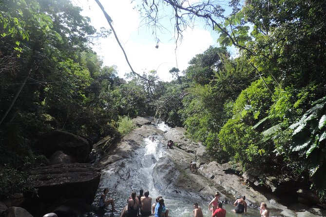 Half-Day Tour: El Yunque, Waterslides, and Luquillo Beach - How demanding is the rainforest stop?