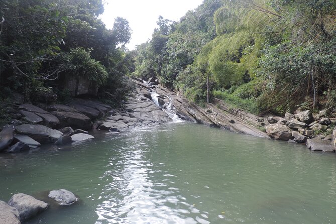 Half-Day Tour: El Yunque, Waterslides, and Luquillo Beach - Luquillo Beach gives the day a gentler finish