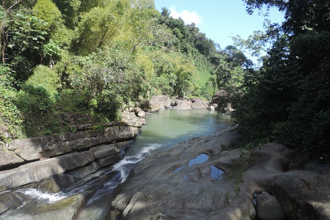 Half-Day Tour: El Yunque, Waterslides, and Luquillo Beach - The guide is the heart of the experience