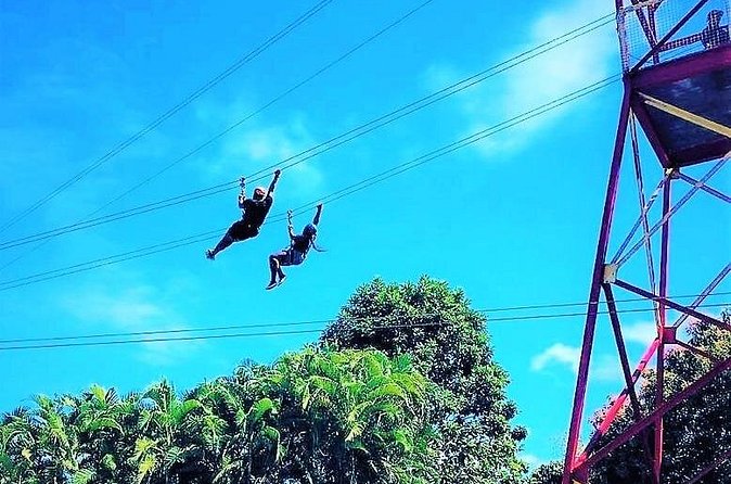 Half Day Tour in Rainforest Zipline Park with Transportation - How Much Hiking And Climbing Should You Expect?