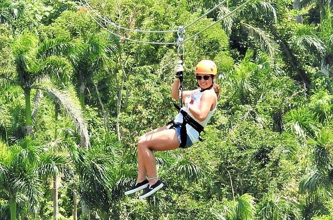 Half Day Tour in Rainforest Zipline Park with Transportation - Who Will Enjoy This Half-Day Adventure?