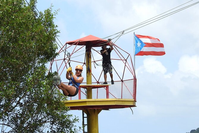 Half Day Tour in Rainforest Zipline Park with Transportation - The First Six Lines Build Your Confidence