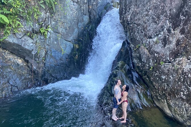 Half-Day Yunque Rainforest Waterslide & rope swing Guided Tour - The first 20 to 30 minutes: a real rainforest walk