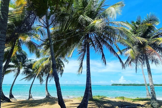 Hidden Fresh Spring of Water+ Cave+ Beach & Food Full Day Tour - Key points at a glance