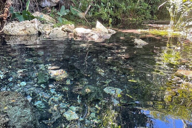 Hidden Fresh Spring of Water+ Cave+ Beach & Food Full Day Tour - Three hours around Playa Mar Chiquita
