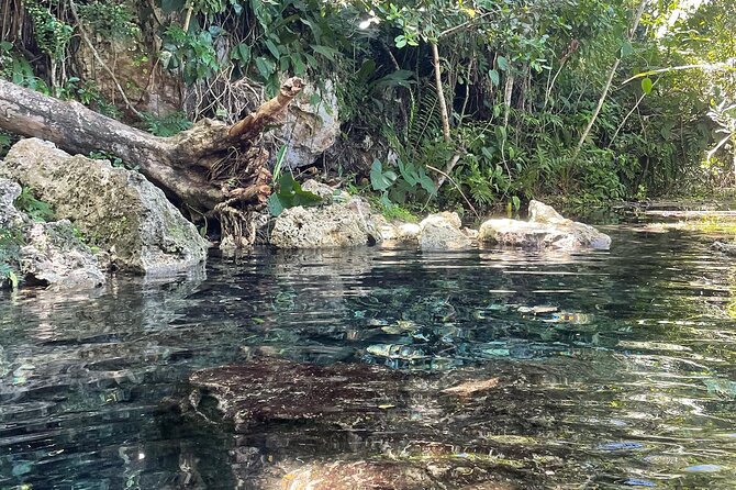 Hidden Fresh Spring of Water+ Cave+ Beach & Food Full Day Tour - How the $125 price holds up
