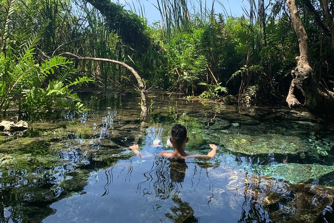 Hidden Gems of the North, Puerto Rico Private Tour - What makes this north-coast tour worth considering