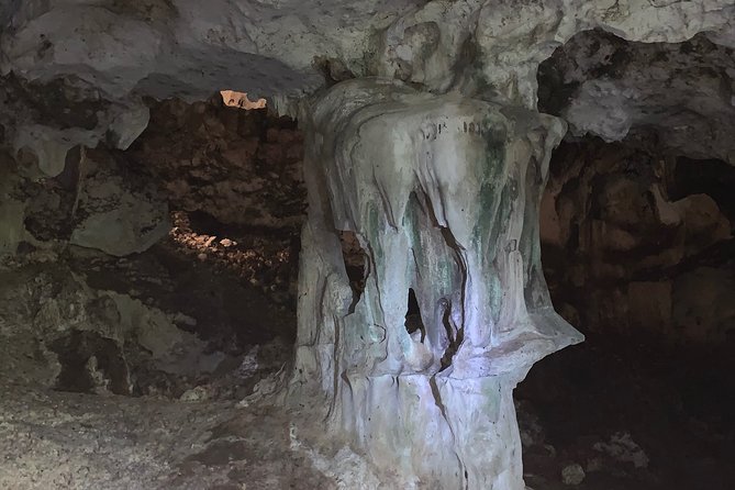 Hidden Gems of the North, Puerto Rico Private Tour - From San Juan to Manati in one morning