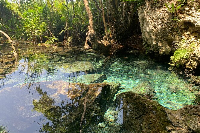 Hidden Gems of the North, Puerto Rico Private Tour - Who will enjoy this experience most?