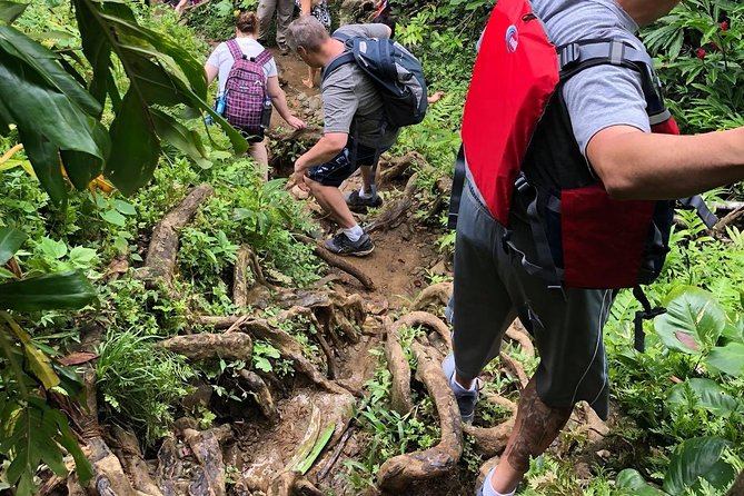 Hike El Yunque Rainforest and Kayak Bio Bay Combo Tour - Lunch, transfers, and the long gap before darkness