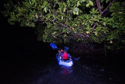 Hike El Yunque Rainforest and Kayak Bio Bay Combo Tour