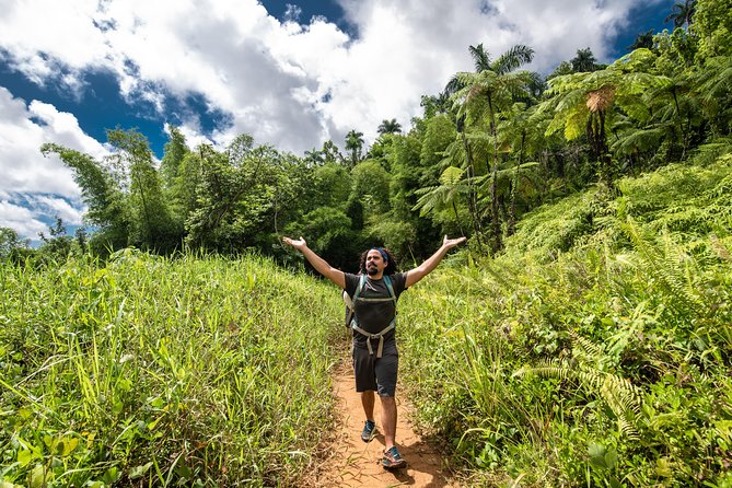 Hike El Yunque Rainforest and Kayak Bio Bay Combo Tour - Paddling through Laguna Grande after sunset
