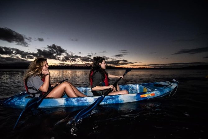 Hike El Yunque Rainforest and Kayak Bio Bay Combo Tour - Is $172 a fair price?