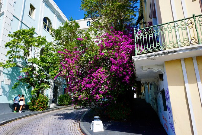 Historical Walking Tour of Old San Juan - Walking conditions, timing, and what to bring