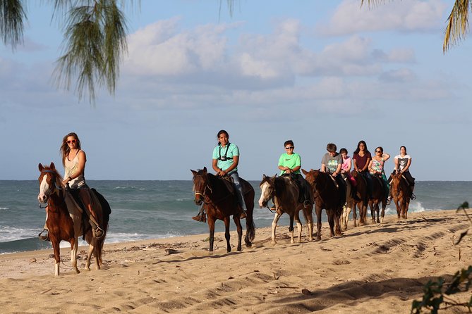 Horseback Riding through Secluded Beaches and Tropical Forests - At a glance: what makes this ride worth considering