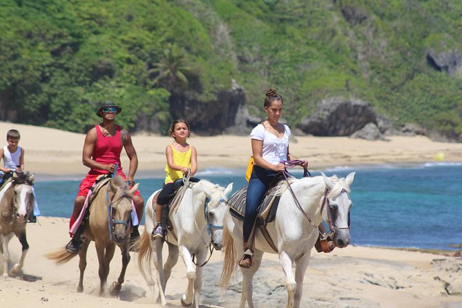 Horseback Riding through Secluded Beaches and Tropical Forests - Survival Beach and the 15-minute pause