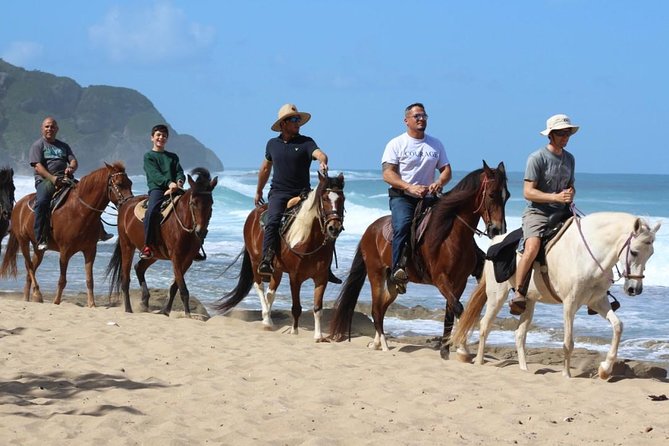 Horseback Riding through Secluded Beaches and Tropical Forests - What the guides do well