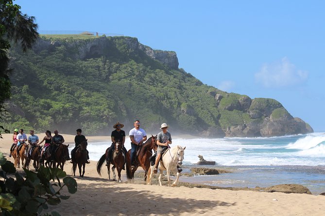 Horseback Riding through Secluded Beaches and Tropical Forests - How much value do you get for $106.95?