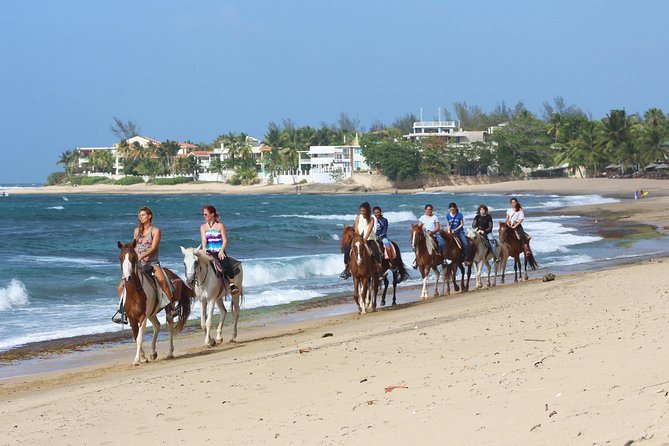Horseback Riding through Secluded Beaches and Tropical Forests - Clothing, water, and practical preparation