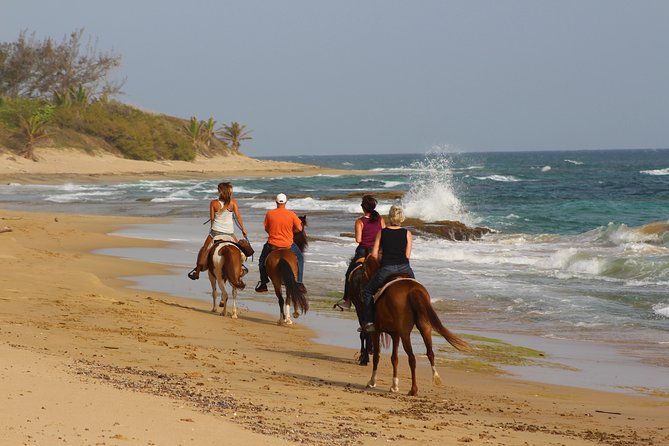 Horseback Riding through Secluded Beaches and Tropical Forests - Riding through the tropical trail