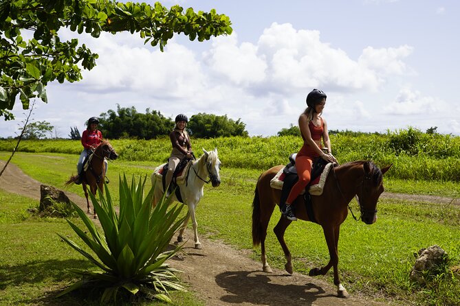 Horseback Riding Tour at Private Ranch - Key points to know before you book