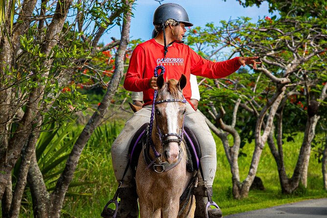 Horseback Riding Tour at Private Ranch - What the $113 price gets you