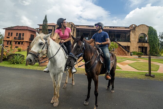 Horseback Riding Tour at Private Ranch - Cooling down at the hilltop bar