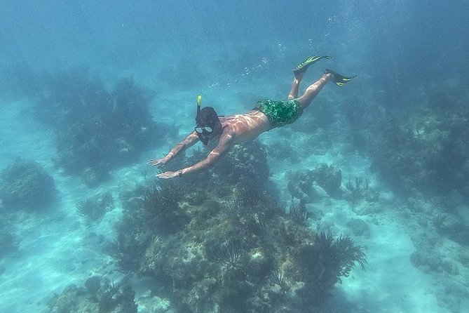 Icacos Deserted Island Catamaran, Snorkel, and Picnic Cruise - What the $138.50 Price Really Covers