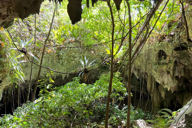 Indian Cave & Water Spring Adventure - A cave and spring near Manatí