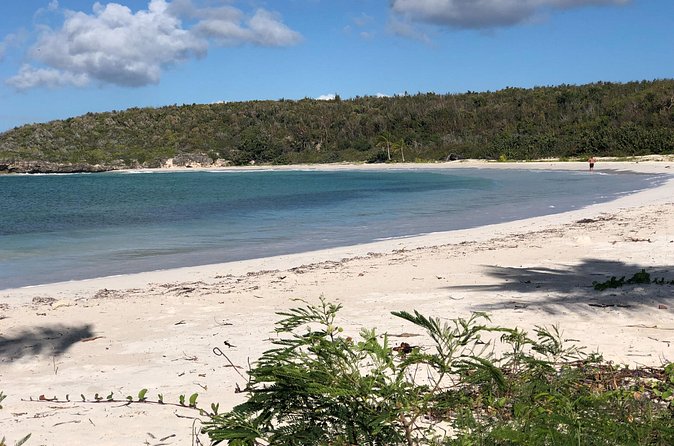 Isla de Vieques Beach Hopper Sightseeing Tour - The Third Beach, Your Last Chance to Slow Down