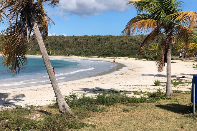 Isla de Vieques Beach Hopper Sightseeing Tour - Is $90 a Fair Price?
