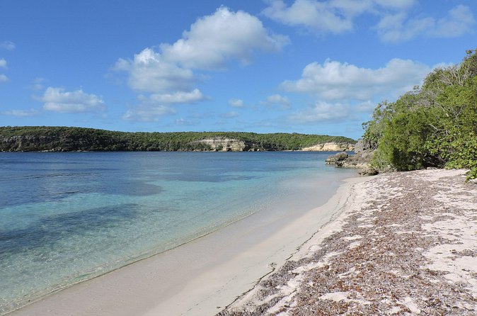 Isla de Vieques Beach Hopper Sightseeing Tour - Who Will Enjoy This Tour Most?