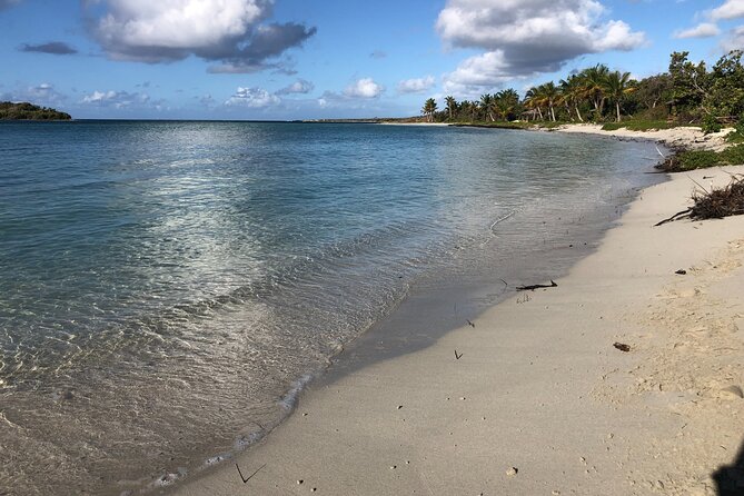 Isla de Vieques Beach Hopper Sightseeing Tour - What the First Beach Stop Feels Like