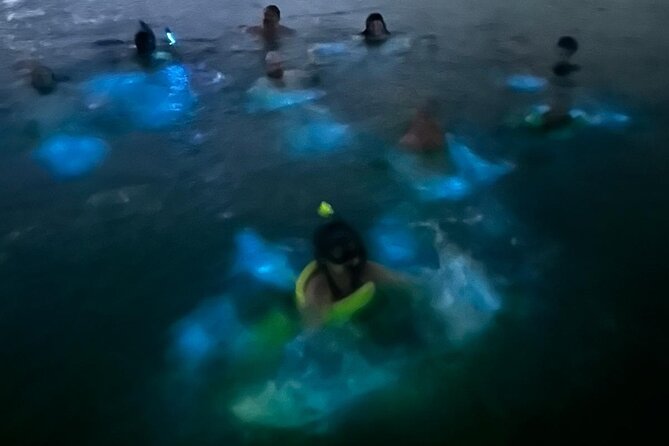 La Parguera Bio Bay Boat Ride and Swimming w/ San Juan Transport - Seeing bioluminescence with your hands