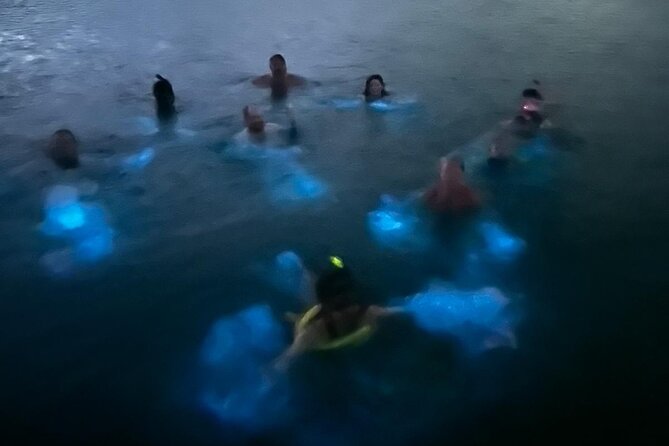 La Parguera Bio Bay Boat Ride and Swimming w/ San Juan Transport - What the guides add, and where service can vary