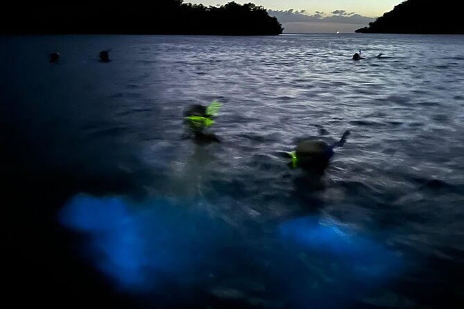 La Parguera Bio Bay Boat Ride and Swimming w/ San Juan Transport - Who will enjoy this most