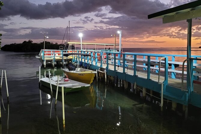 La Parguera Bio Bay Boat Ride and Swimming w/ San Juan Transport - Practical details for a smoother evening