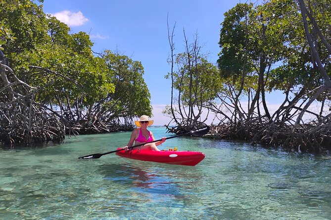 La Parguera Boat Charter with Captain: Kayak & Snorkel - Setting Out From Punta Papayo At 10:00 A.M.