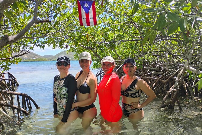 La Parguera Boat Charter with Captain: Kayak & Snorkel - Is $75 A Good Value?