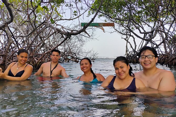 La Parguera Boat Charter with Captain: Kayak & Snorkel - What To Know Before You Book