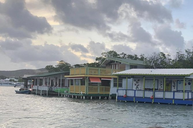 La Parguera Glowing Bioluminescent Bay Boat Tour from San Juan - Who should book this experience