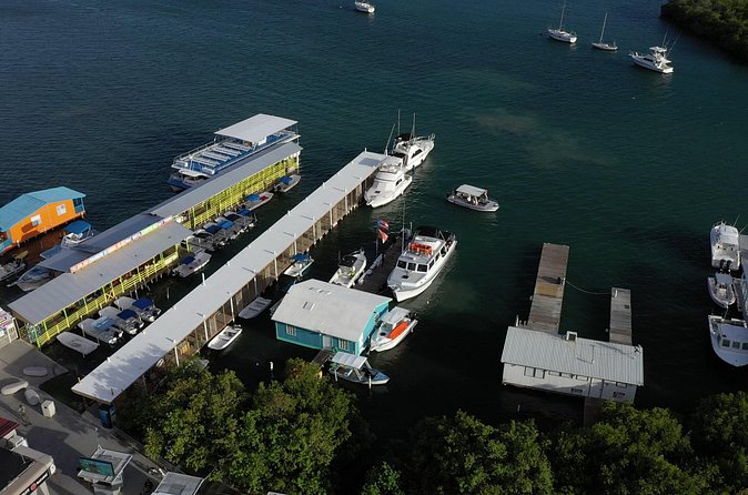 La Parguera Glowing Bioluminescent Bay Boat Tour from San Juan - Practical tips for a better outing