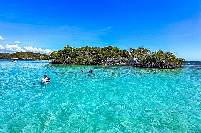 La Parguera Private Boat Charter - Mangrove channels and the view from the boat